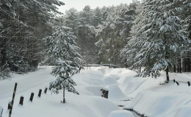 17 өңірде ауа райына байланысты ескерту жарияланды