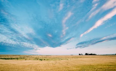 Бүгін еліміздің басым бөлігінде қатты ыстық болады