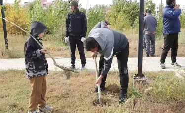 Таза Қазақстан: Сәтбаев қаласында қарағай, қайың көшеттері отырғызылды