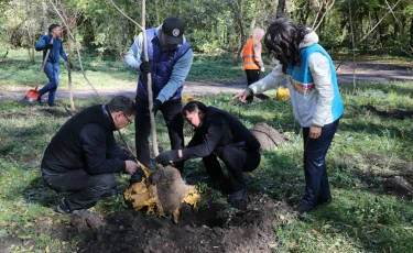 В роще Баума в Алматы прошла масштабная экоакция