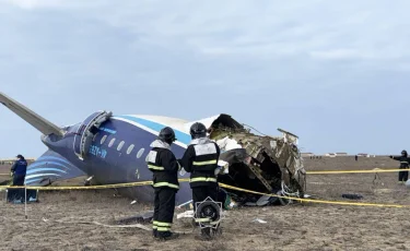 Ұшақ апатынан зардап шеккен 29 адам ауруханаға жеткізілді - ДСМ