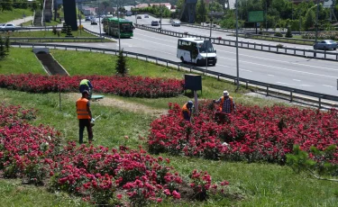 Алматыда абаттандыру және көгалдандыру бойынша жүйелі шаралар қабылдануда