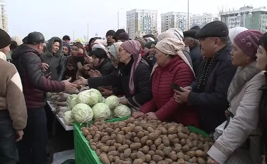 Цены на картофель: овощ заметно подорожал в Туркестанской области