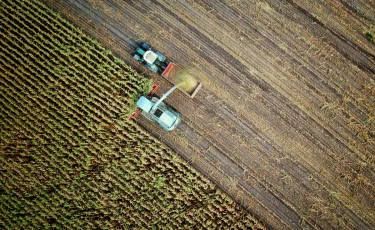 Қазақстанның агроөнеркәсіптік кешені 1,1 млн-нан астам адамды жұмыспен қамтамасыз етуде