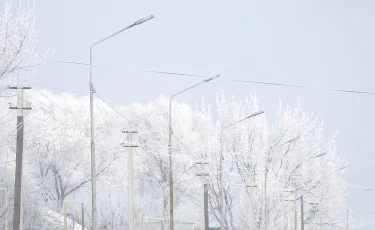 Снег, туман и гололед: прогноз погоды на 16 февраля