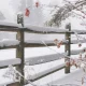 Бүгін еліміздің қай өңірінде қар жауады - синоптиктер болжамы